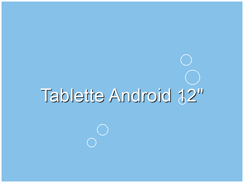 Tablette Android 12"